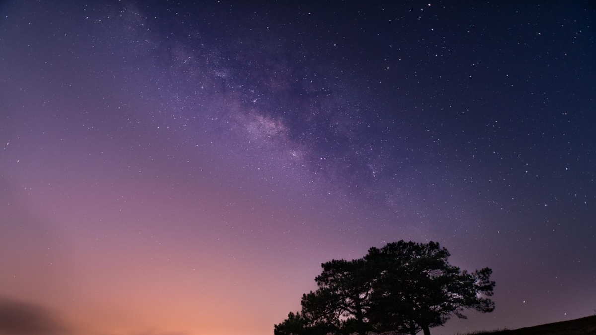 Hình nền 1920x1080 đậm cá tính