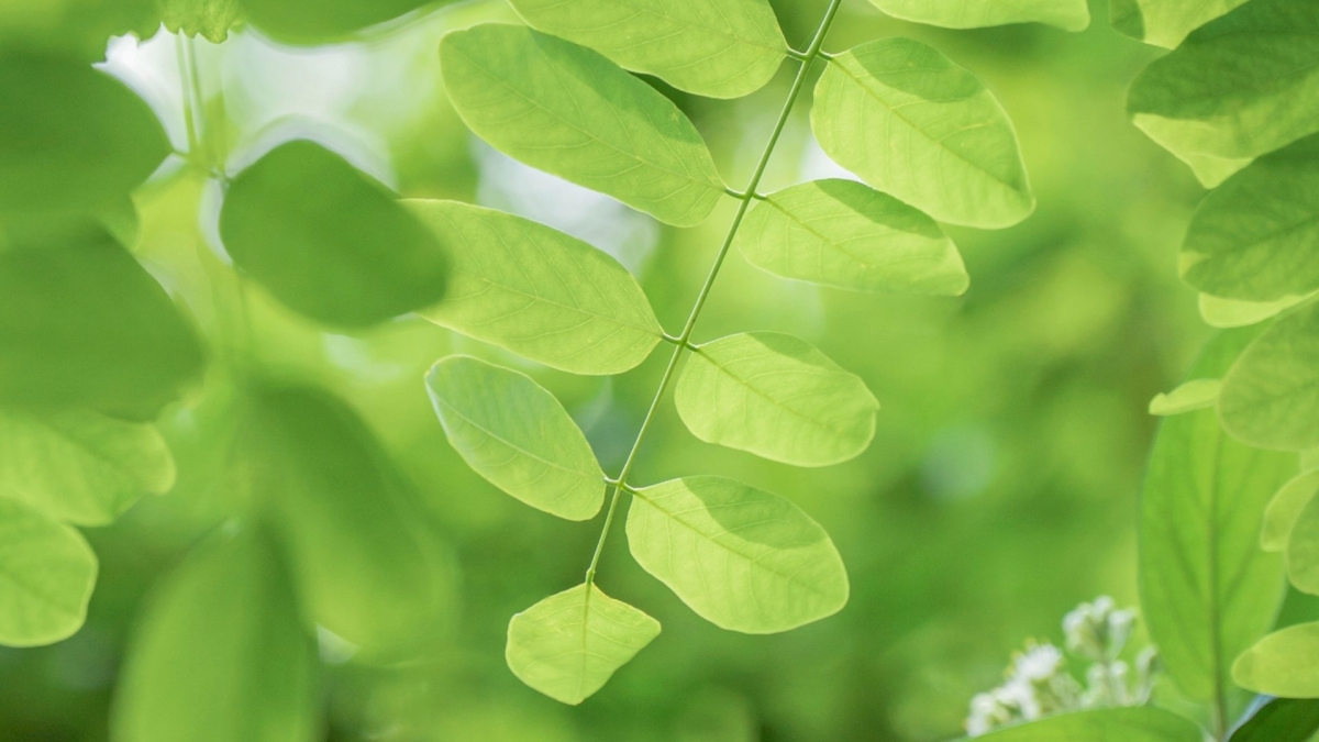 Hình nền 1920x1080 hiện đại