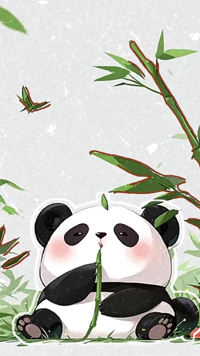 Hình nền gấu trúc yên bình