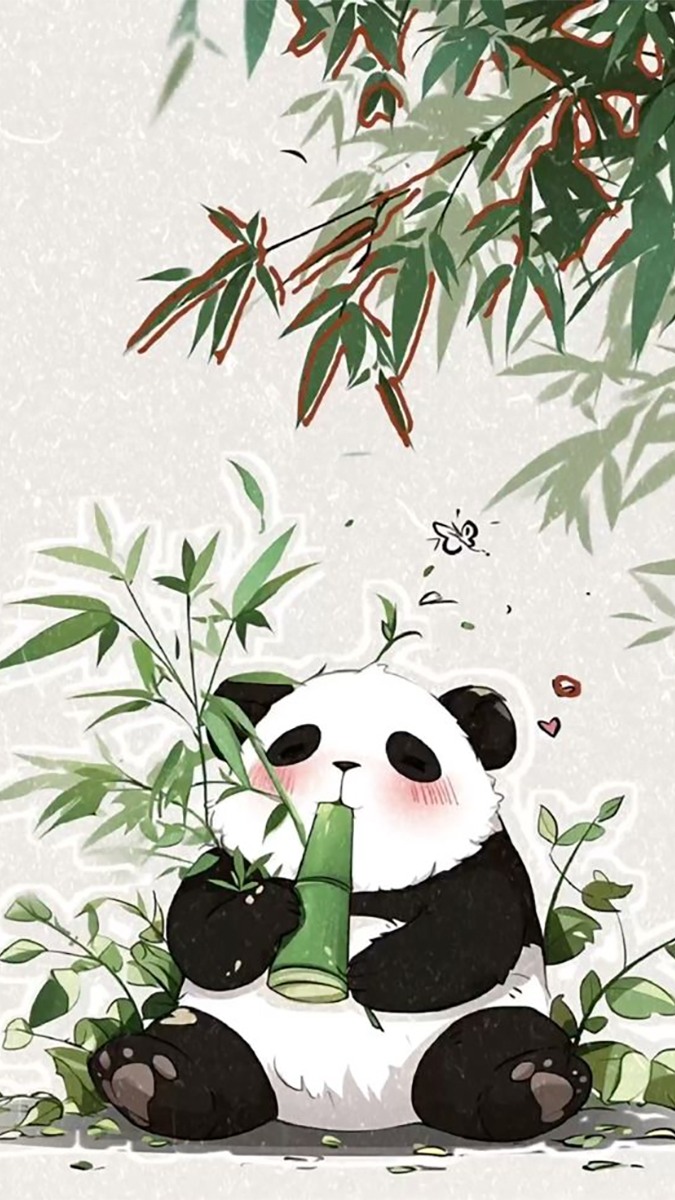 Hình nền gấu trúc hài hước