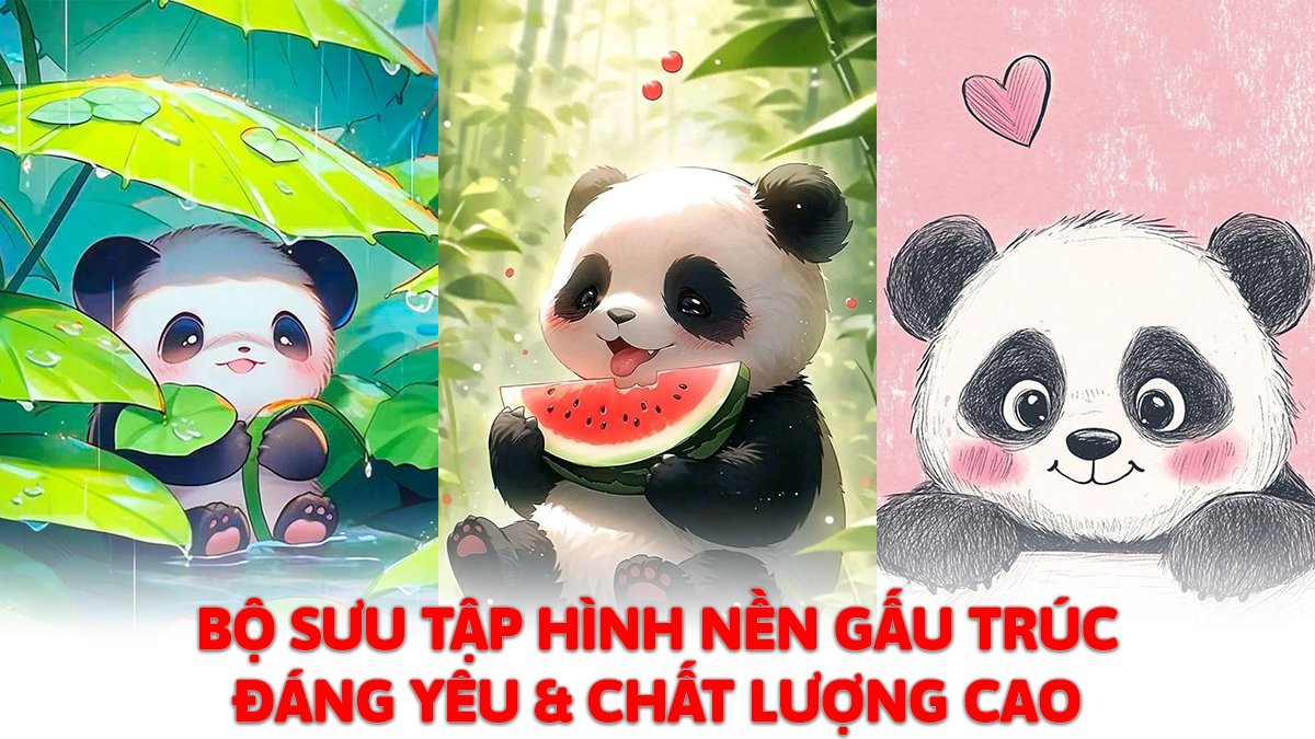 Bộ sưu tập hình nền gấu trúc đáng yêu, chất lượng cao Bộ sưu tập hình nền gấu trúc đáng yêu, chất lượng cao