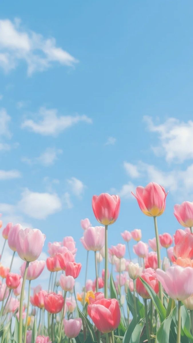 Hình nền hoa hiện đại