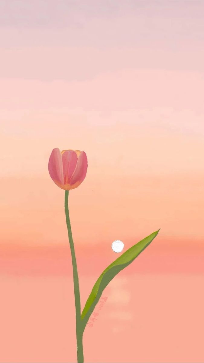 Hình nền hoa chất lượng nét