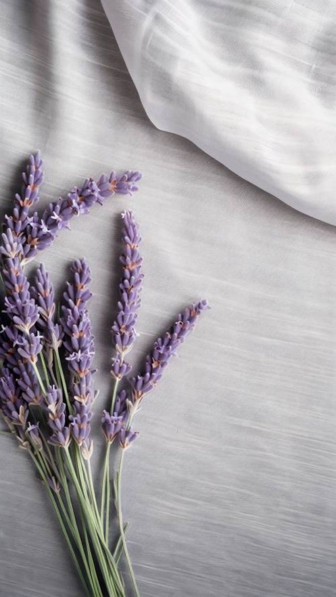 Hình nền hoa siêu mịn