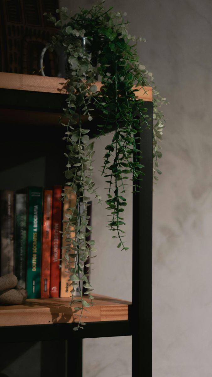Hình nền kệ sách cổ nâu