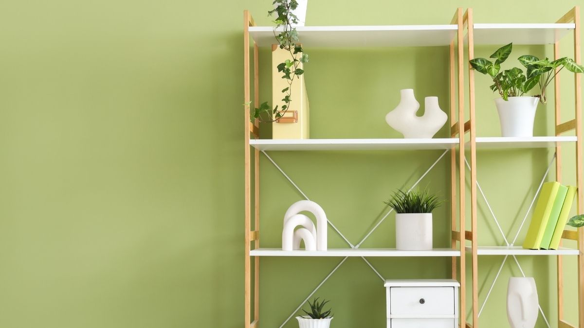 Hình nền kệ sách sáng tự nhiên