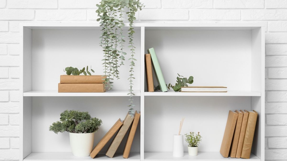 Hình nền kệ sách đậm nét