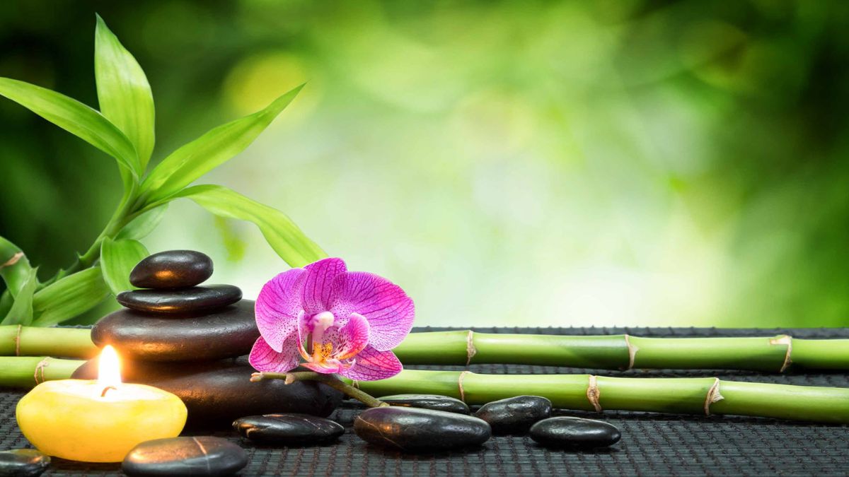 Hình nền điện thoại may mắn dịu êm