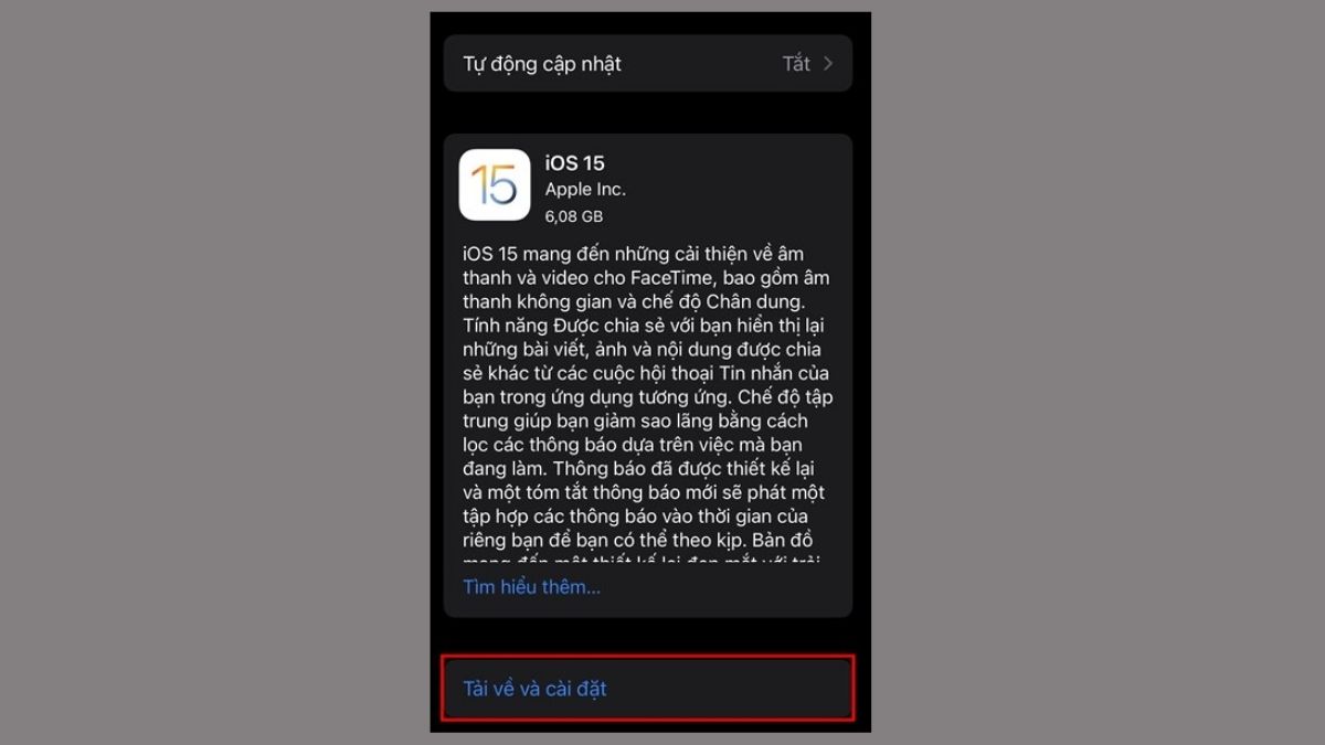 Khắc phục lỗi ID Apple chưa được sử dụng bằng cách cập nhật iOS mới - bước 2,3,4