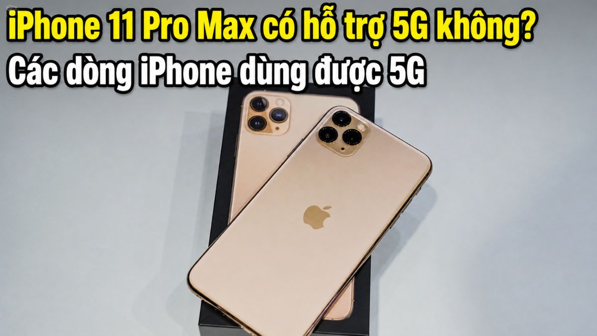 iPhone 11 Pro Max có hỗ trợ 5G không? Giải đáp chi tiết