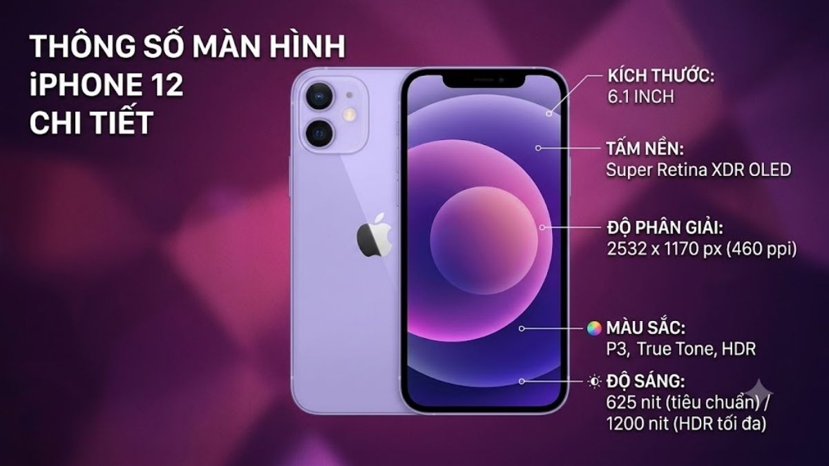 iPhone 12 sở hữu màn hình có kích thước là 6.1 inch