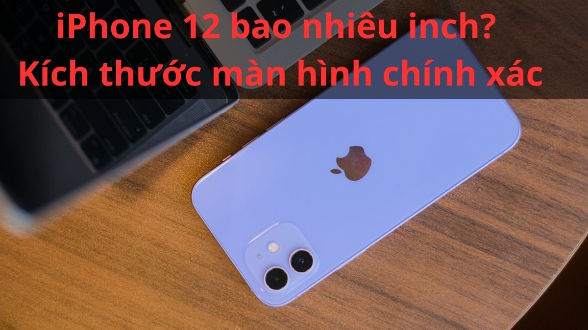 iPhone 12 bao nhiêu inch? Kích thước màn hình chính xác