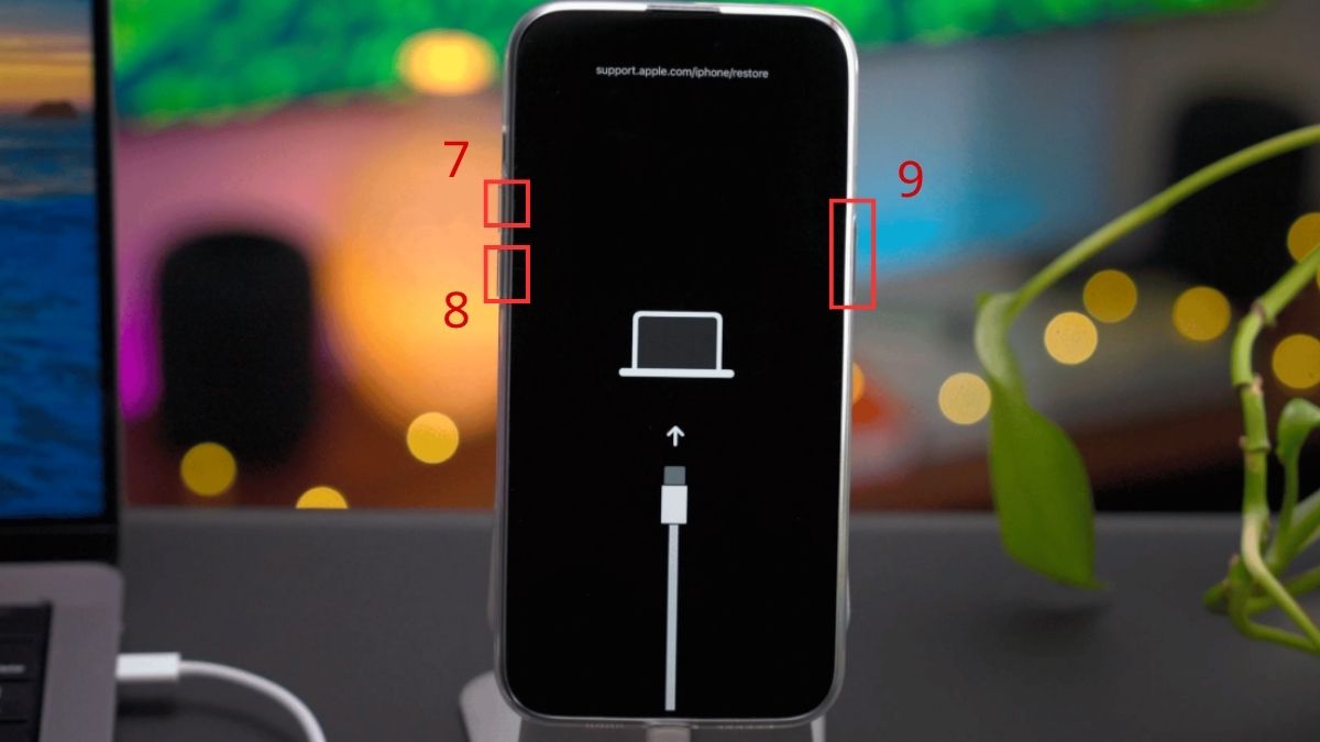 Khắc phục iPhone bị loạn cảm ứng bằng cách chế độ khôi phục - bước 4