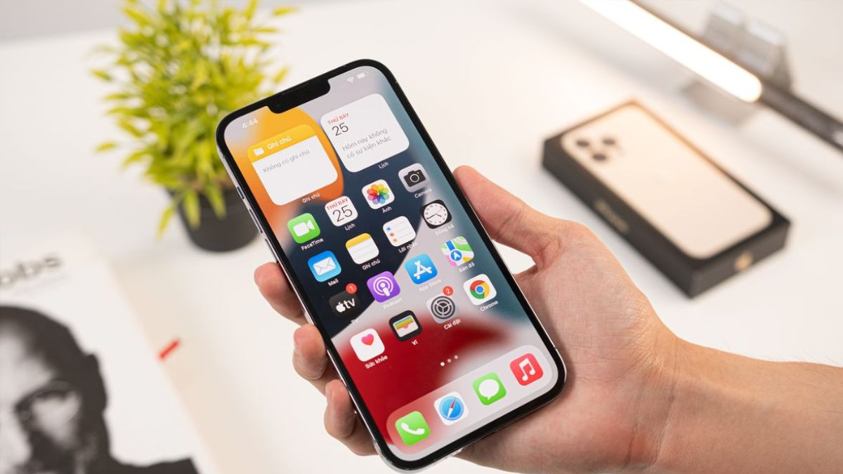 Cách kiểm tra ngoại hình iPhone cũ 99