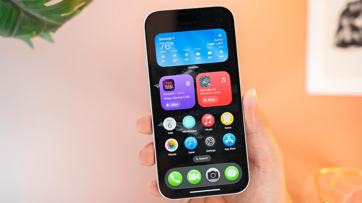 So sánh iPhone demo và iPhone thường