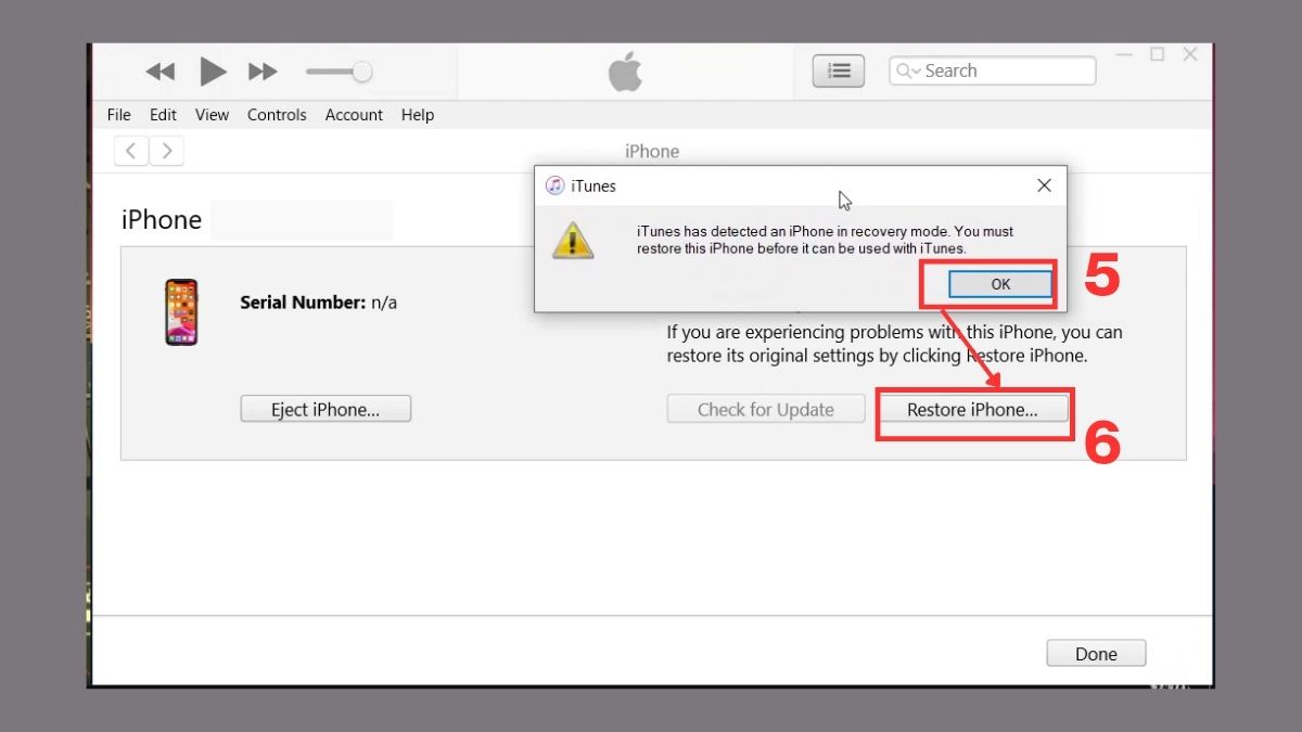 Đưa máy về DFu khi màn hình iPhone bị lỗi màu - bước 3