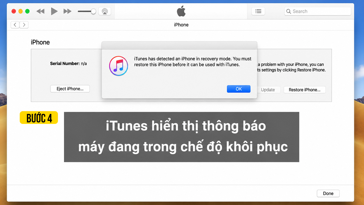Đưa iPhone về chế độ DFU và khôi phục qua iTunes/Finder khi màn hình iPhone bị vệt xanh - bước 4