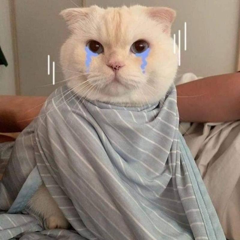 Ảnh meme khóc khóc trong im lặng