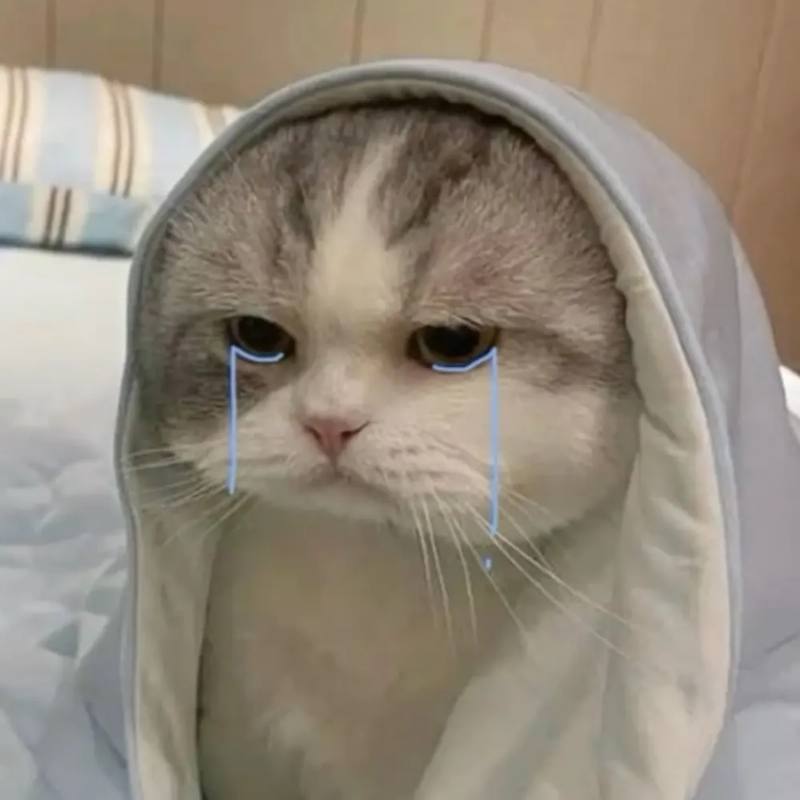 Ảnh meme khóc tấu hài