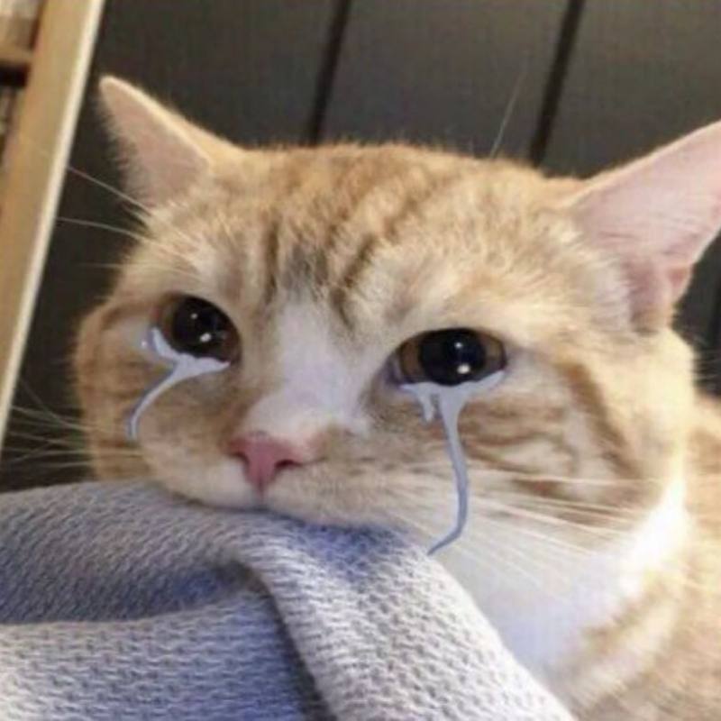 Ảnh meme khóc cay đắng