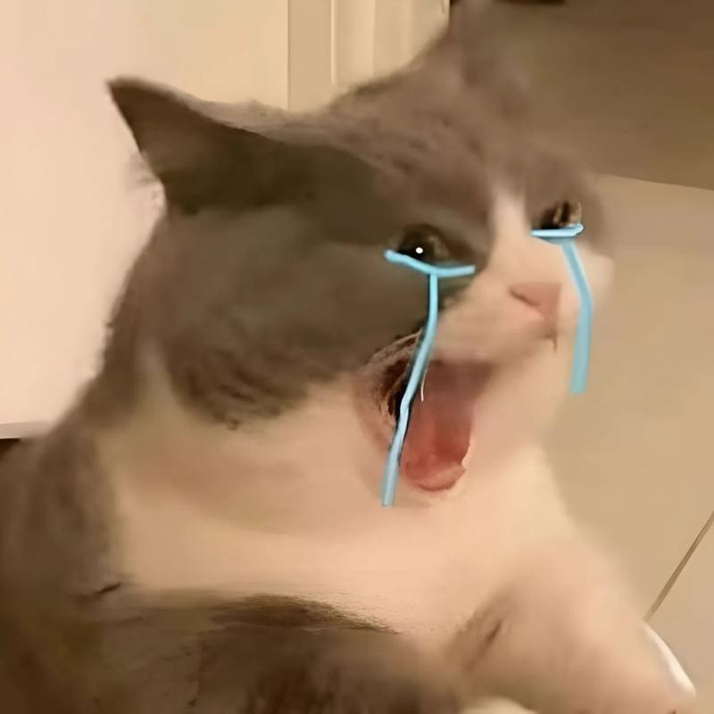 Ảnh meme khóc ngậm ngùi