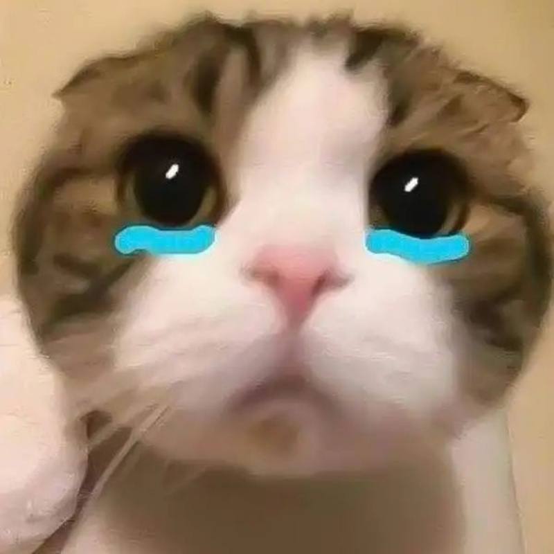 Ảnh meme khóc rầu rĩ