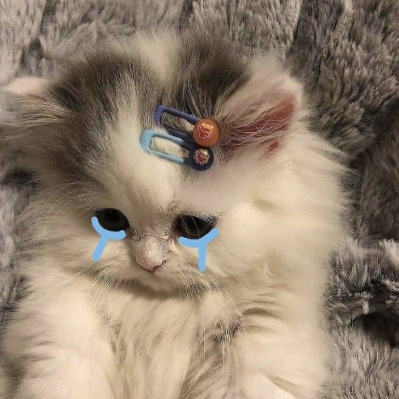 Ảnh meme khóc hụt hẫng