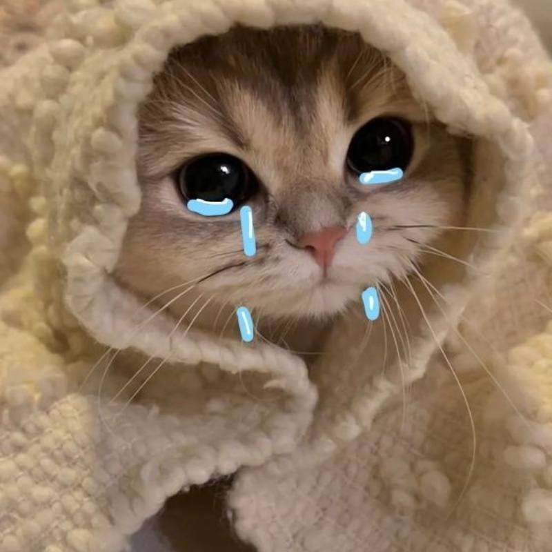 Ảnh meme khóc bất ổn