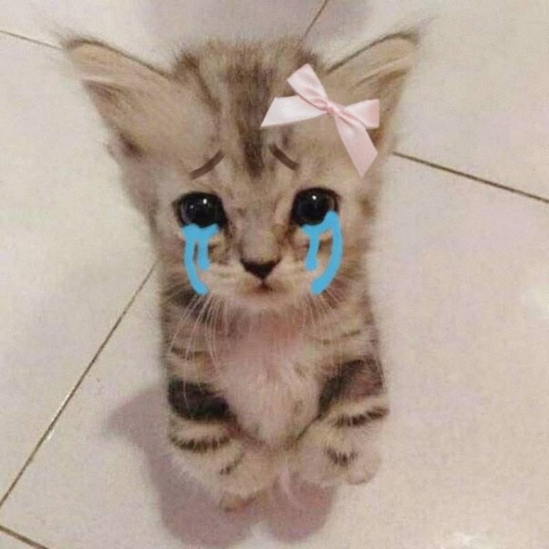 Ảnh meme khóc suy tư