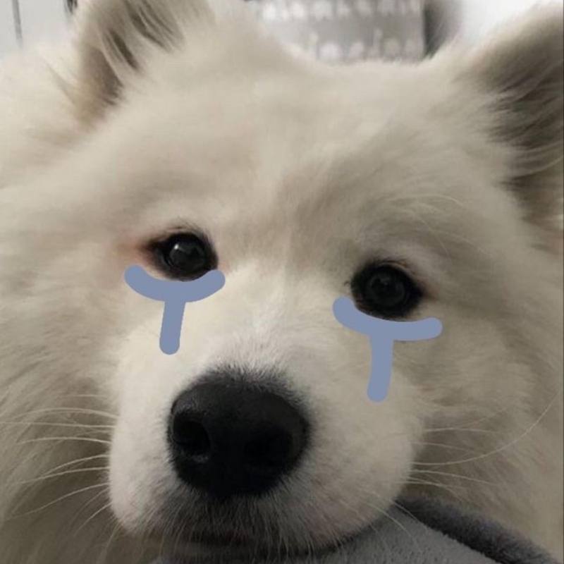 Ảnh meme khóc tiếc nuối