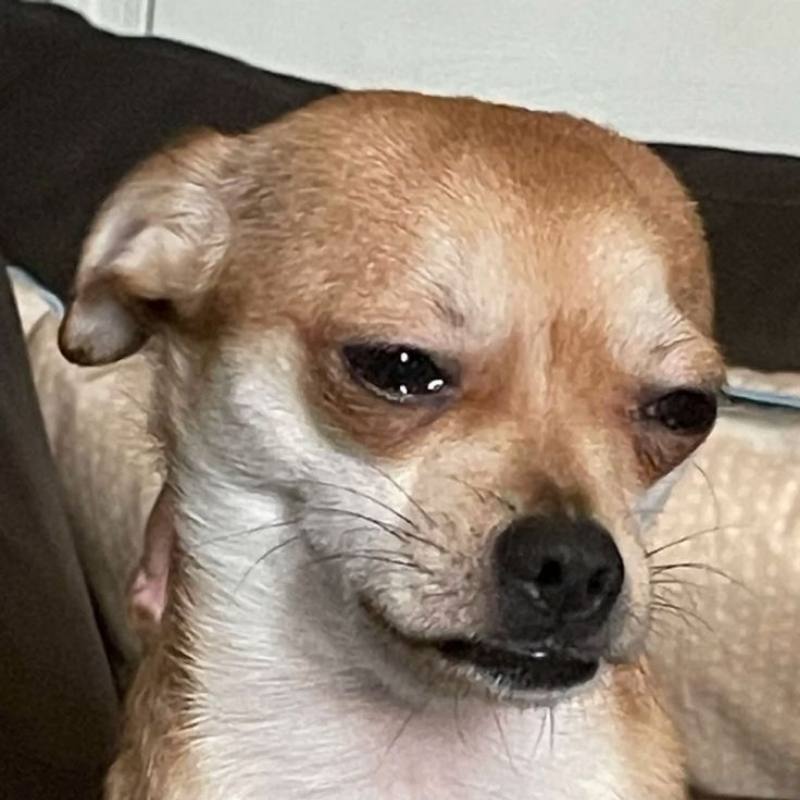 Ảnh meme khóc tâm trạng xấu