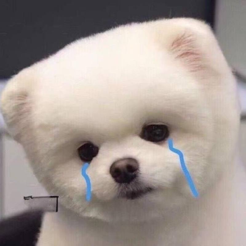 Ảnh meme khóc lạc quan giả tạo