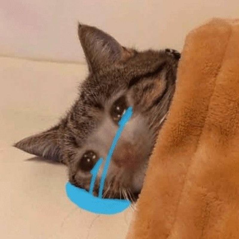 Ảnh meme khóc cạn lời