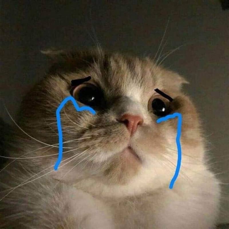 Ảnh meme khóc rơi lệ âm thầm