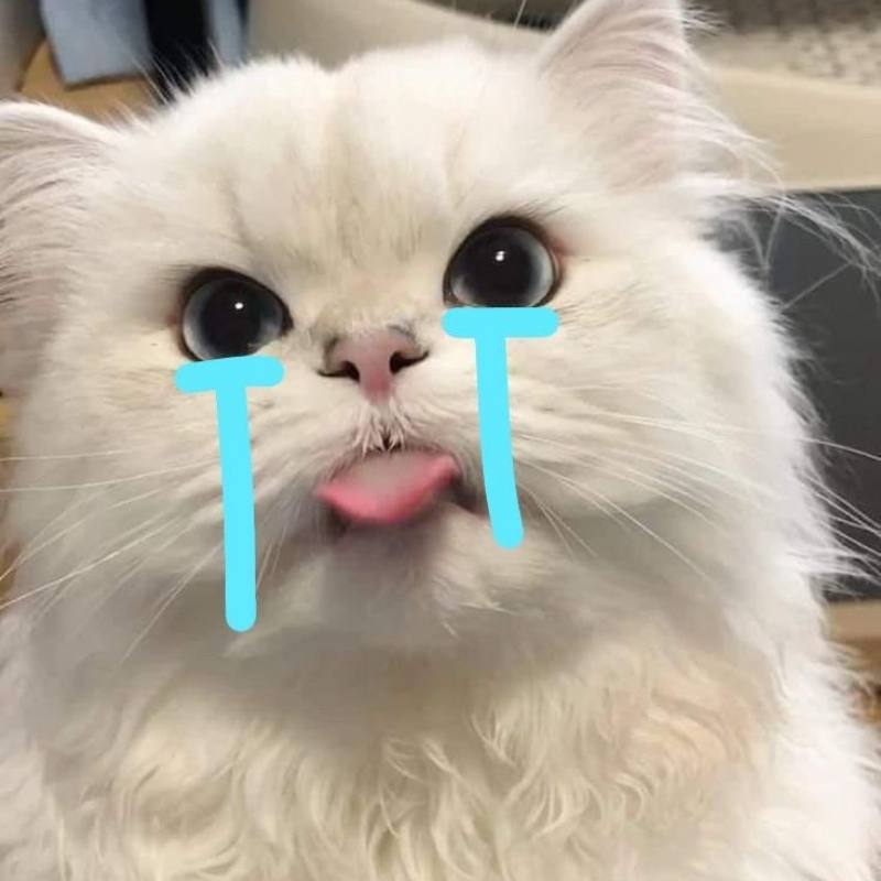 Ảnh meme khóc mệt tim