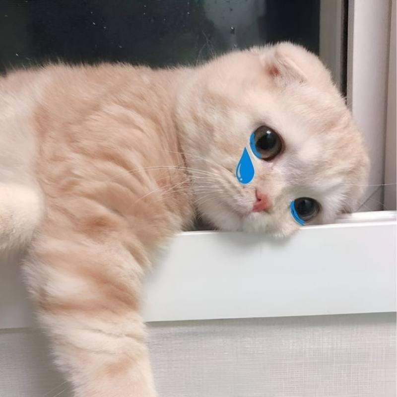 Ảnh meme khóc tâm trạng tệ