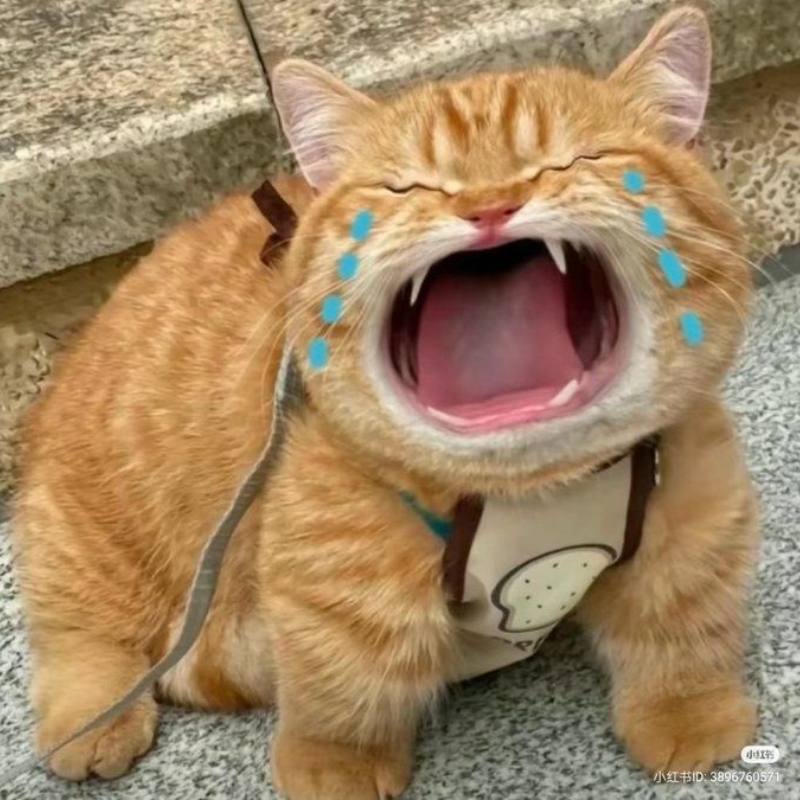 Ảnh meme khóc gượng cười