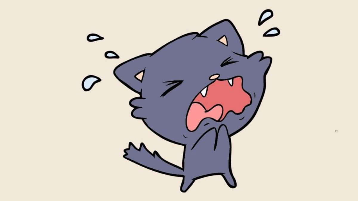 Các lưu ý khi sử dụng meme khóc