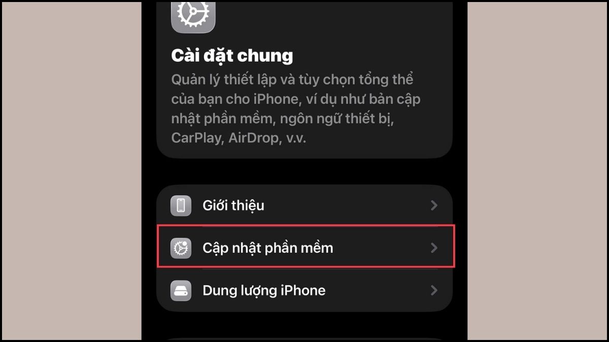 Khắc phục Safari bị lỗi bằng cách cập nhật iOS - bước 2
