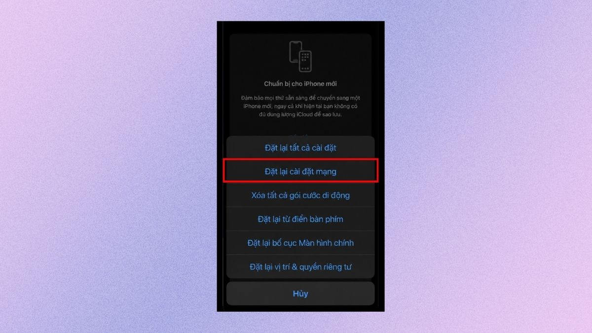 Khắc phục lỗi bật dữ liệu nhưng không vào được mạng iPhone bằng cách đặt lại cài đặt mạng - bước 4