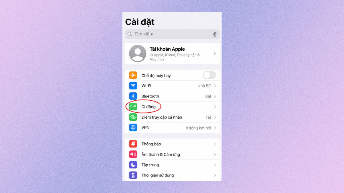  Khắc phục lỗi bật dữ liệu nhưng không vào được mạng iPhone bằng cách bật lại dữ liệu mạng - bước 1