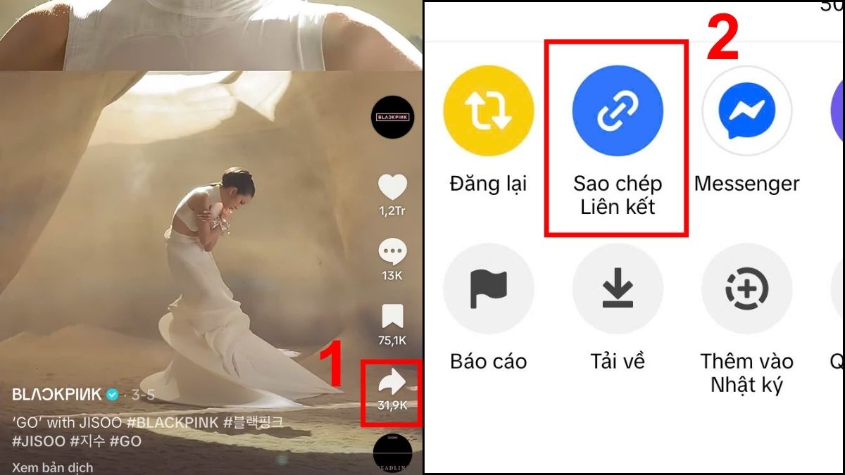 Cách tải video TikTok không logo trên iPhone bằng Snaptik.app - bước 1