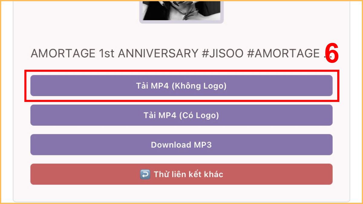 Cách tải video TikTok không logo trên iPhone bằng Snaptik.app - bước 4