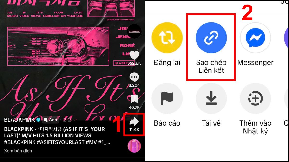 Cách tải video TikTok không logo trên iPhone bằng Tiktokdownload.online- bước 1