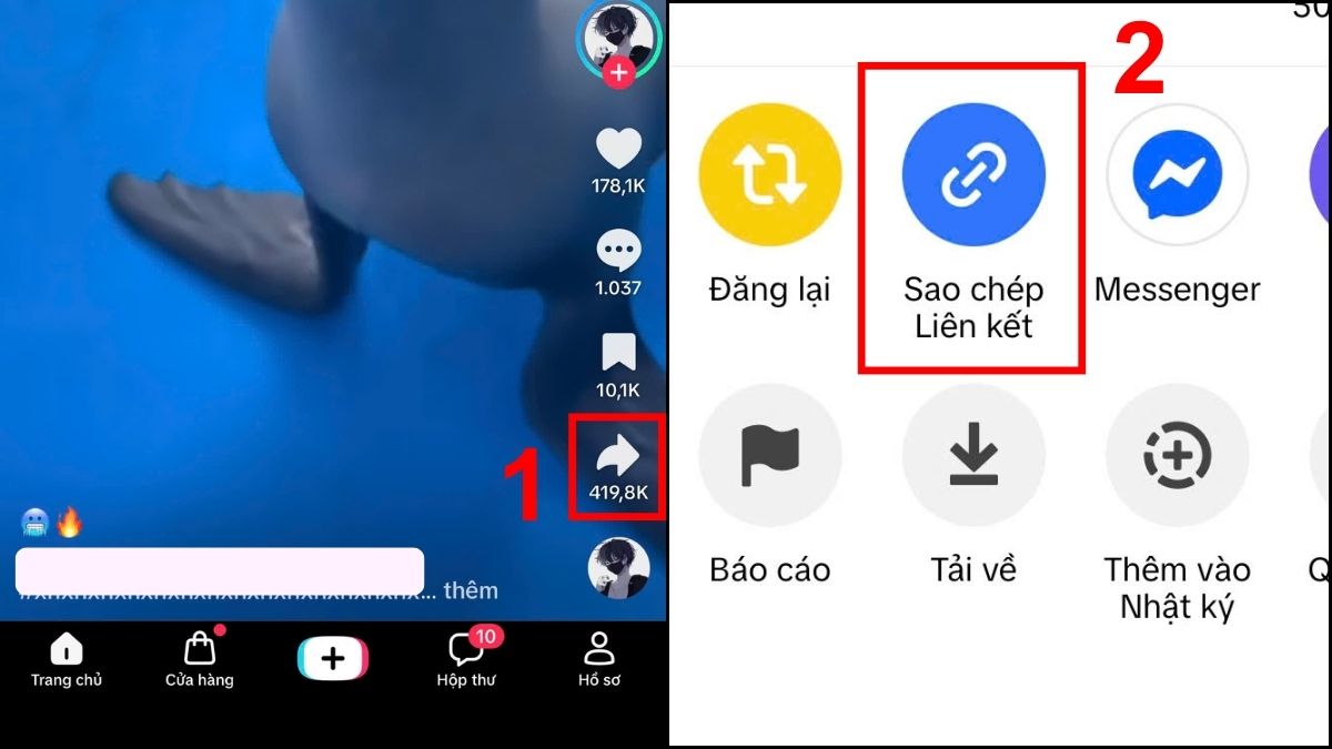 Cách tải video TikTok không logo trên iPhone bằng Snaptiktok.net- bước 1