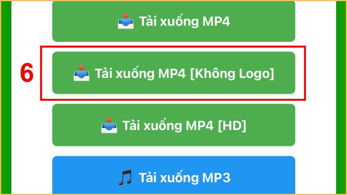 Cách tải video TikTok không logo trên iPhone bằng Snaptiktok.net- bước 4