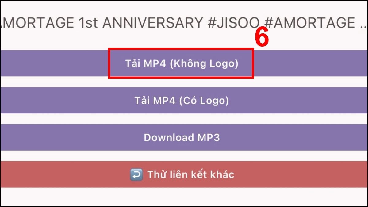 Cách tải video TikTok không logo trên iPhone bằng Snaptik.vn - bước 4