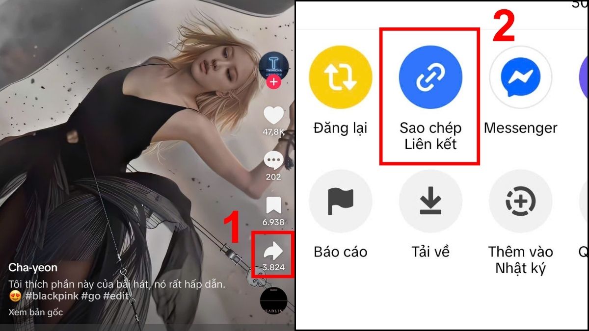 Cách tải video TikTok không logo trên iPhone bằng SnapAny - bước 1