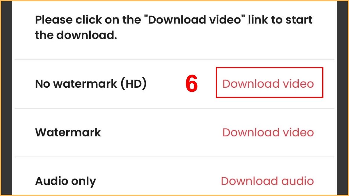 Cách tải video TikTok không logo trên iPhone bằng TTdowloader.com - bước 4