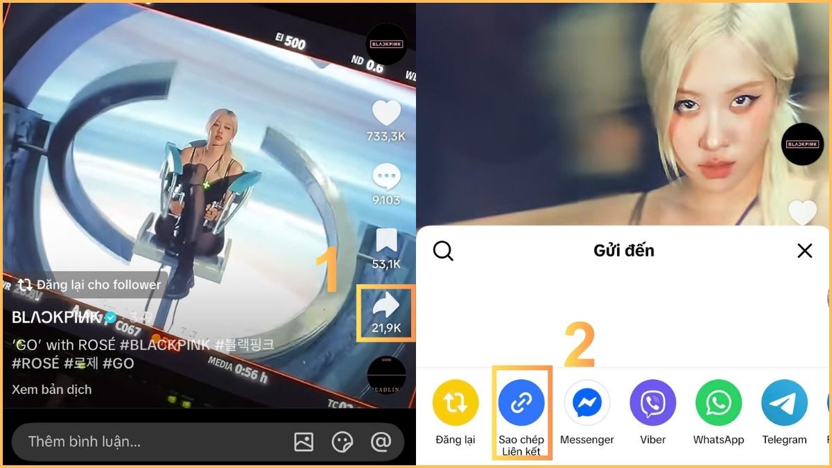 Cách tải video TikTok không logo trên iPhone bằng Musically Down - bước 1